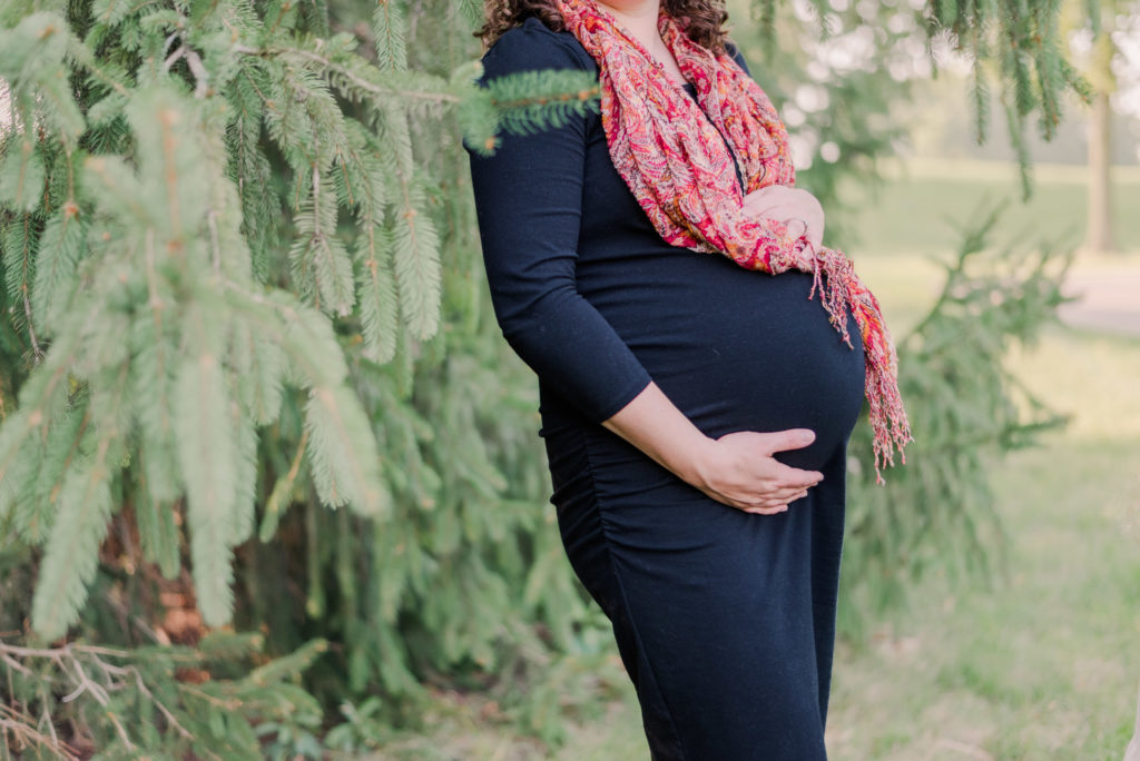 fall maternity session troy city park