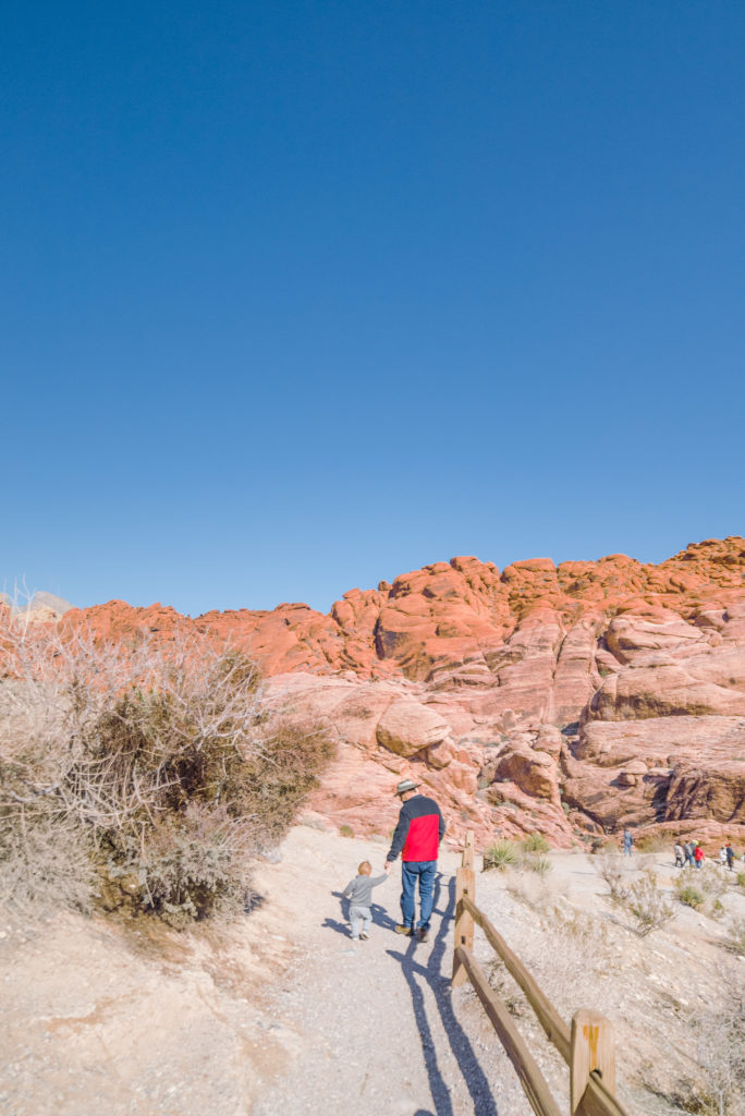 Red rock canyon