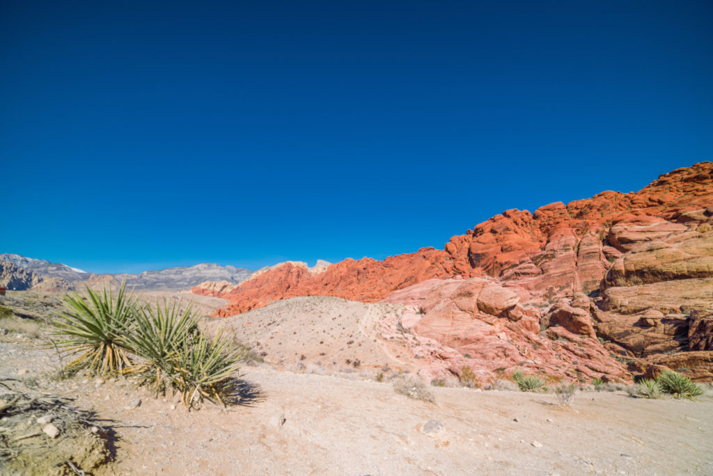 Red rock canyon