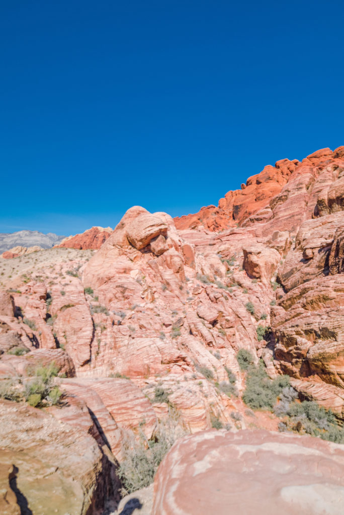 Red rock canyon
