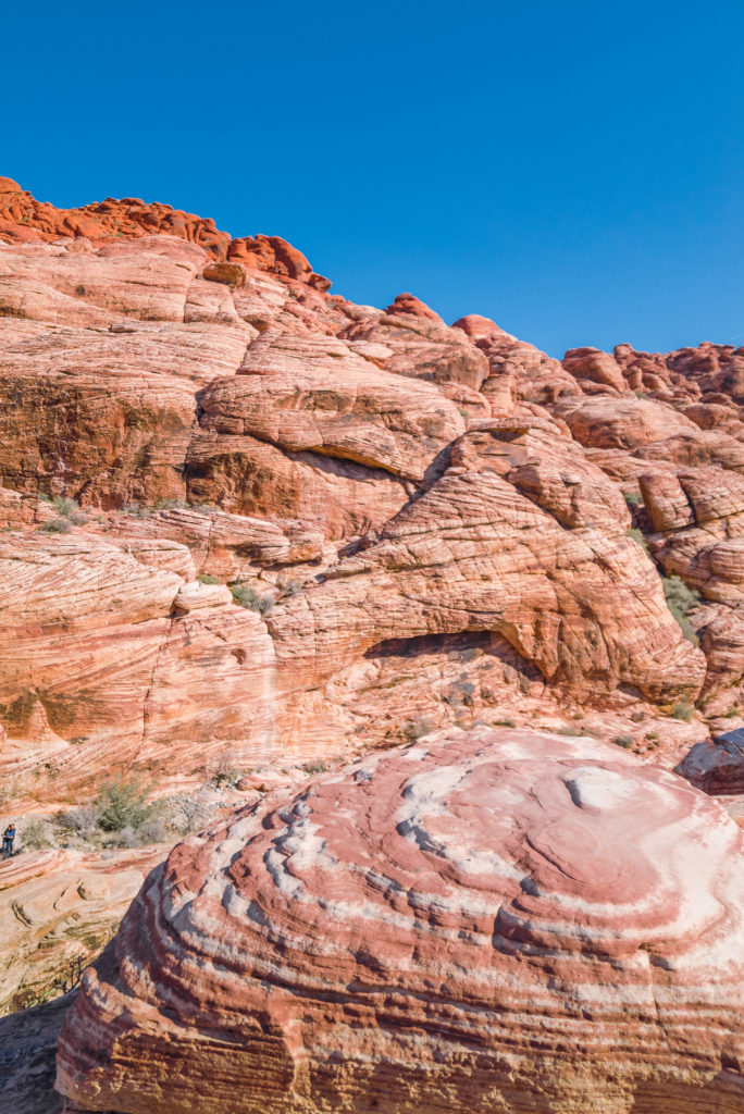 Red rock canyon