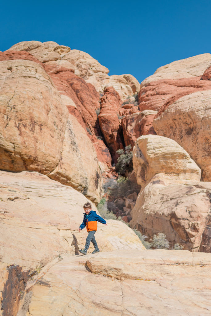 Red rock canyon