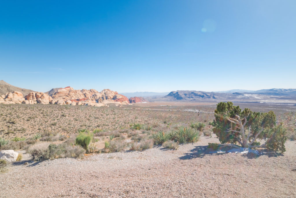 Red rock canyon