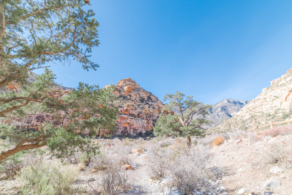 Red rock canyon