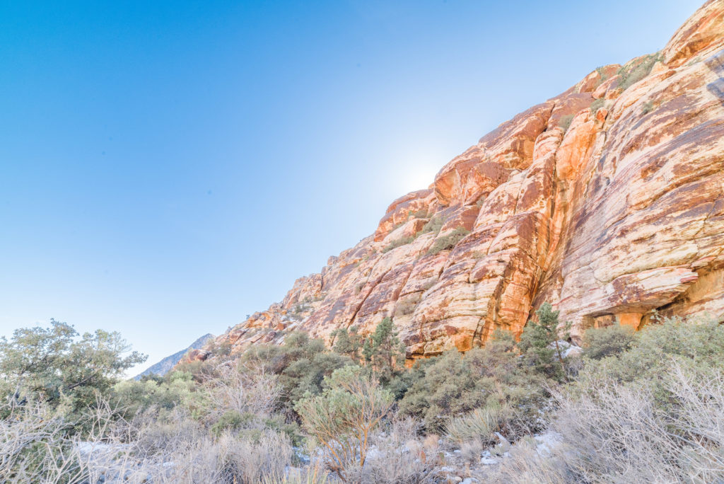 Red rock canyon