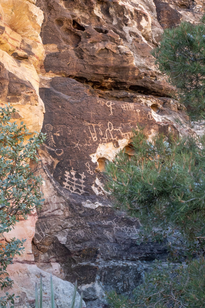 Red rock canyon
