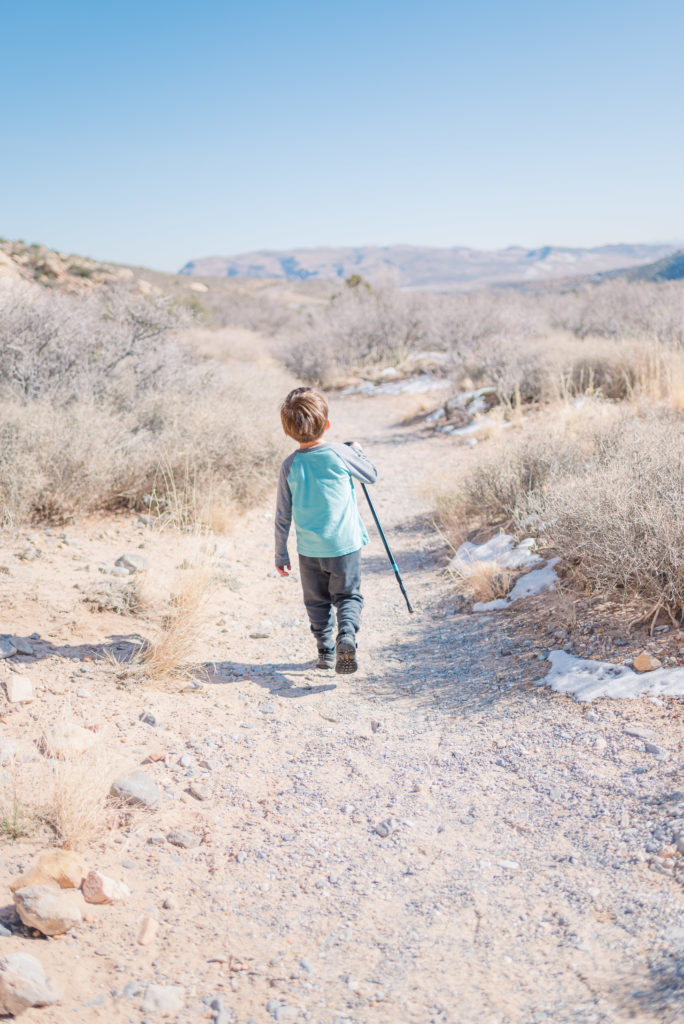 Red rock canyon