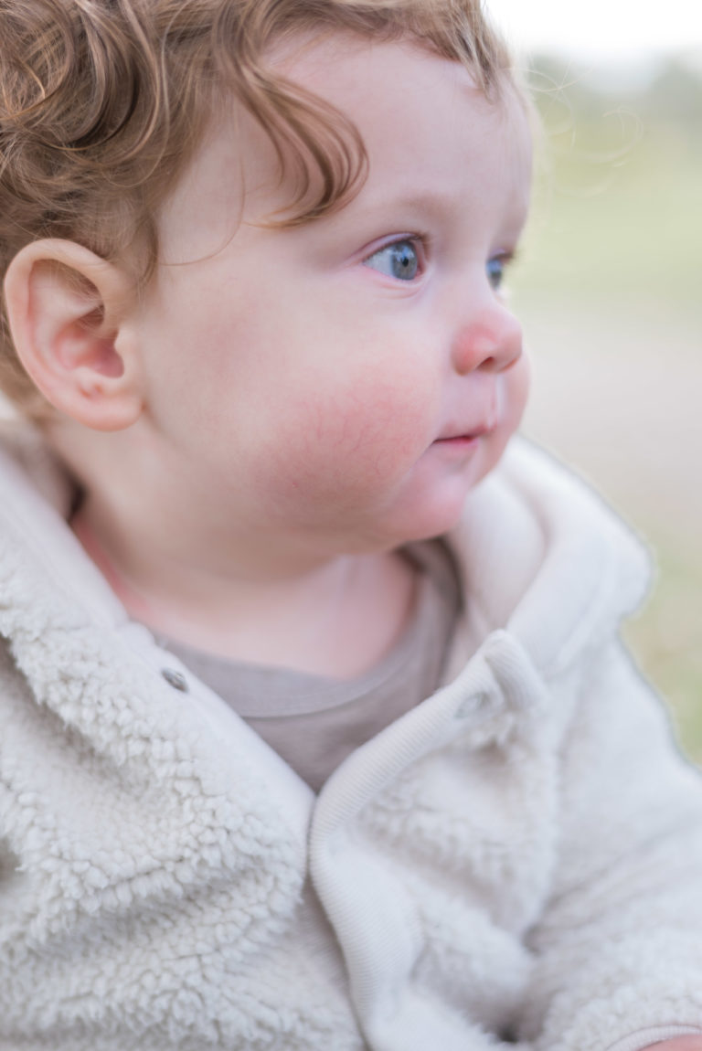 Dayton fall family photo session Cox arboretum